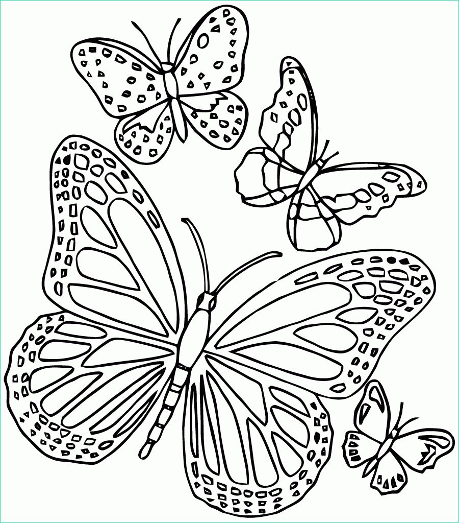 Dessin De Papillon A Imprimer Gratuit Cool Galerie Dessin A Imprimer Papillon Gratuit Arouisse