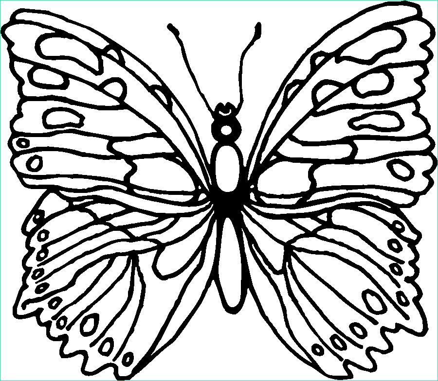 Dessin De Papillon A Imprimer Gratuit Impressionnant Photos Nos Jeux De Coloriage Papillon à Imprimer Gratuit Page 7