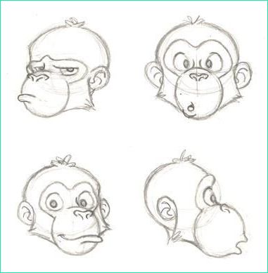 Dessin De Singe Facile A Faire Luxe Photos Esquisses De Chimpanzés Par Pixarvixen En 2020