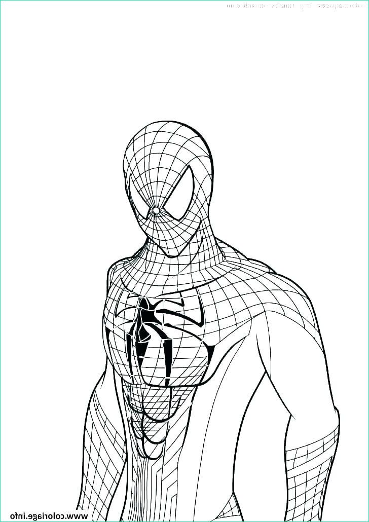Dessin De Spider Man Beau Stock Coloriage Spider Man Far From Home 2019 Jecolorie
