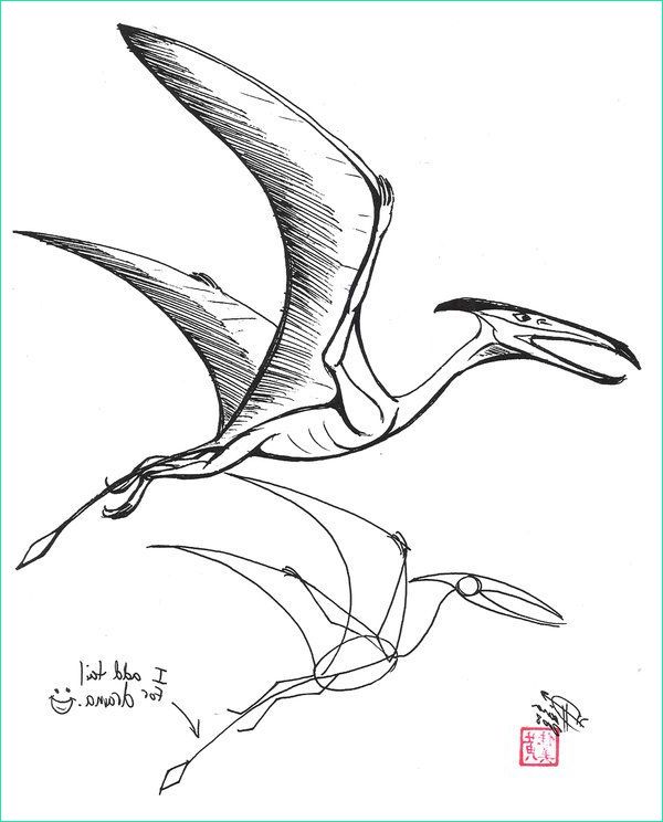Dessin Dinosaure Simple Inspirant Galerie Dinosaur Pterodactyl Drawing Draw A Pterosaur by Diana