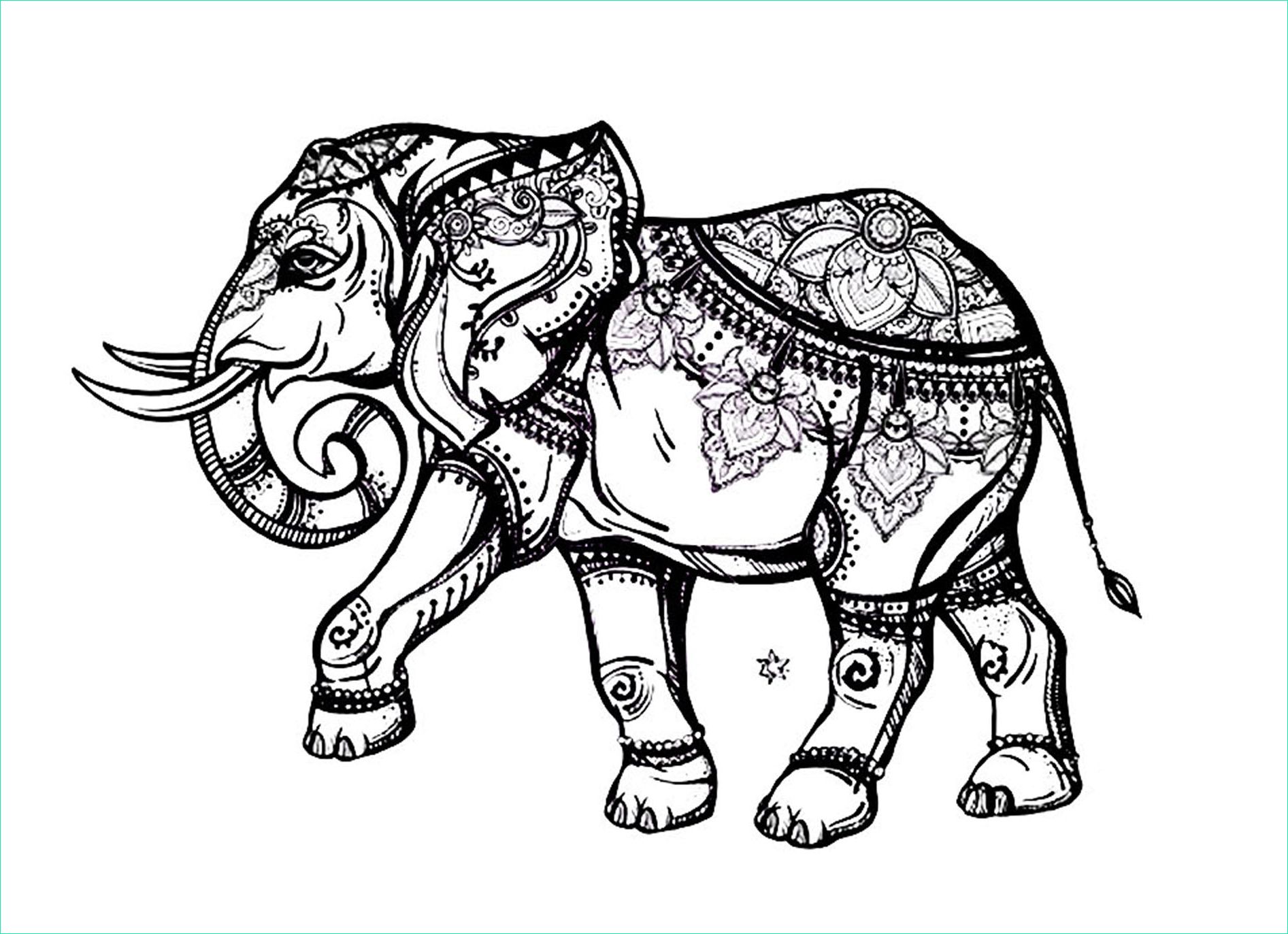 Dessin Elephant A Imprimer Luxe Images Elegant Elephant Elephants Adult Coloring Pages