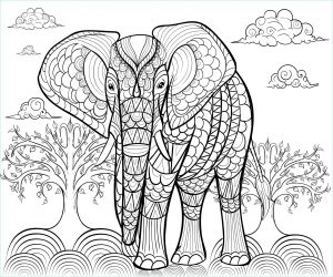 Dessin Elephant A Imprimer Unique Collection Elephant Par Alfadanz Eléphants Coloriages Difficiles