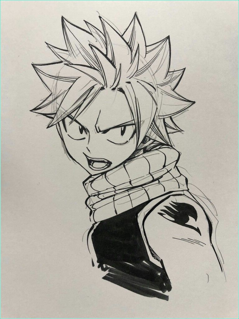 Dessin Facile Fairy Tail Beau Collection 9 Intéressant Coloriage Fairy Tail Natsu Gallery