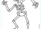Dessin Halloween Squelette Beau Images Le Squelette