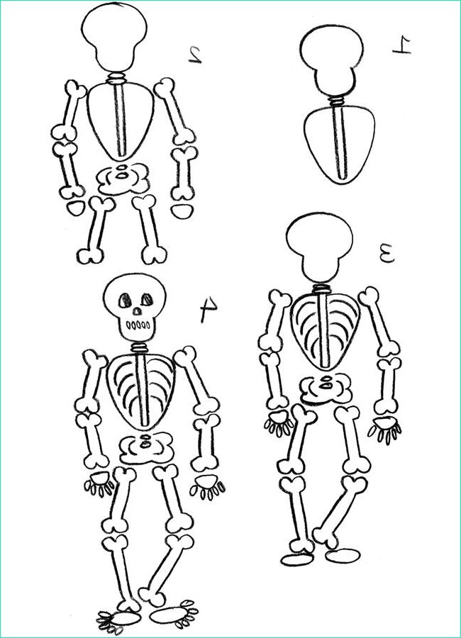 Dessin Halloween Squelette Impressionnant Collection Idées Tendances Dessin Squelette Halloween Facile the