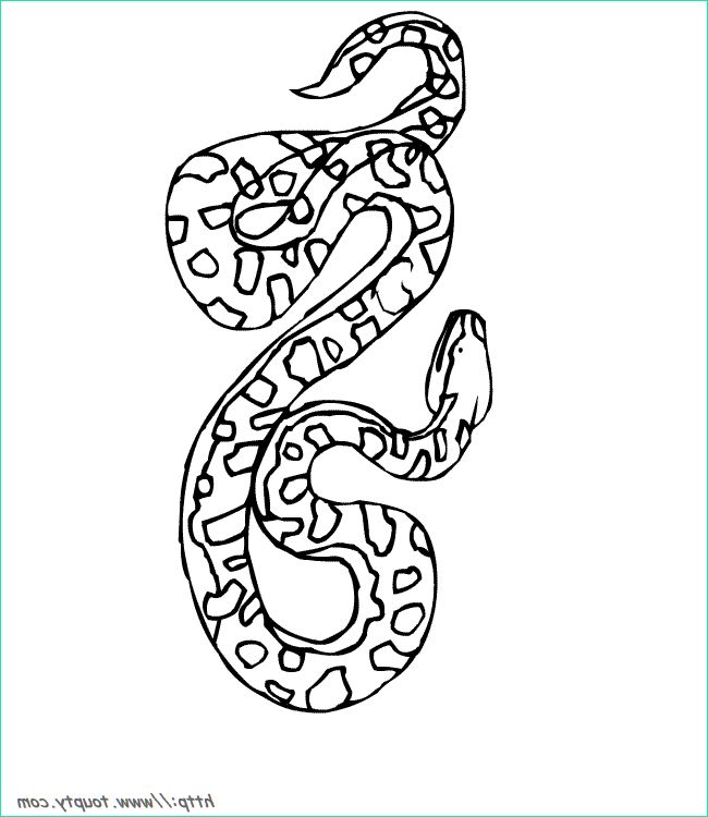 Dessin Serpent Facile Nouveau Galerie Evo Magz V4 7