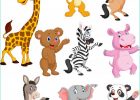 Dessins Animaux Beau Images Collection De Dessins Animés Animaux Sauvages