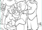 Frère Dessin Inspirant Image Coloring Pages © Brother Bear