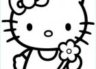 Hello Kitty A Imprimer Beau Galerie Coloriages à Imprimer Hello Kitty Numéro