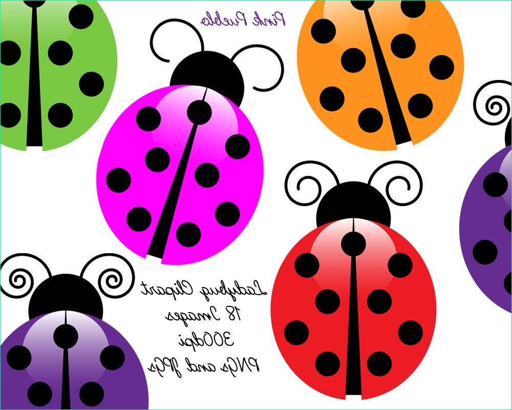 Ladybug Dessin Cool Photos Ladybugs Clip Art Clipart Ladybug Clip Art Clipart