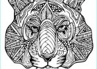 Mandala à Imprimer Difficile Animaux Luxe Stock Coloriage Mandala Difficile D’animaux at Supercoloriage