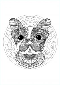 Mandala à Imprimer Difficile Animaux Luxe Stock Mandala with Funny Dog Head and Elegant Patterns M&amp;alas
