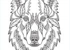 Mandala Loup Bestof Image Coloriage Mandala Loup Inspirant Stock Coloriages Mandalas
