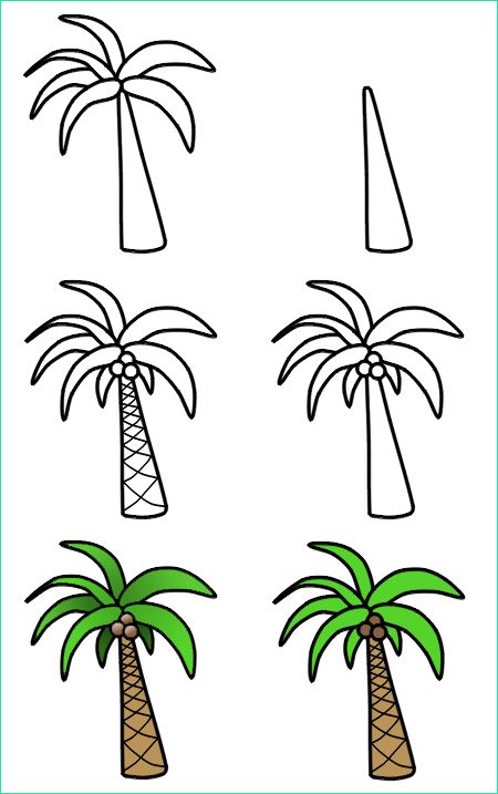 Palmier Dessin Facile Inspirant Photos How to Draw Palm Trees