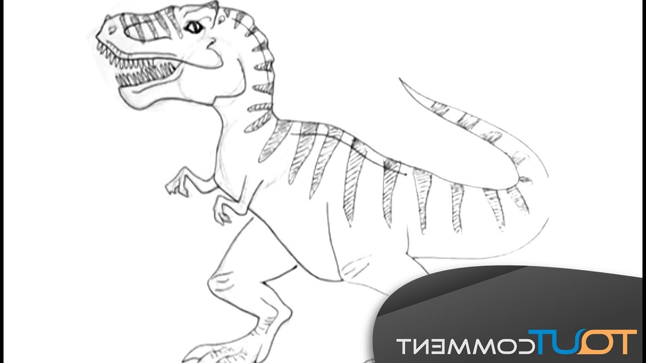 T Rex Dessin Beau Stock Dessiner Un Dinosaure Tyrannosaurus Rex T Rex