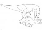 T Rex Dessin Inspirant Photographie How to Eat A Triceratops Illustrations Reveal T Rex S