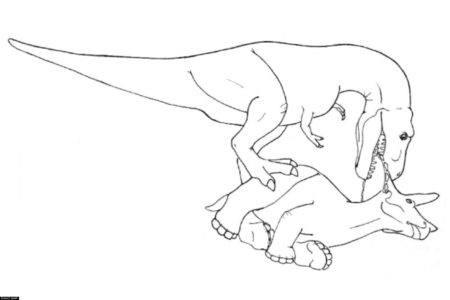 T Rex Dessin Inspirant Photographie How to Eat A Triceratops Illustrations Reveal T Rex S
