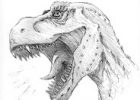 T Rex Dessin Inspirant Photos Les Dessins De Daniel Croquis D Un Tyranosaure T Rex Sketch