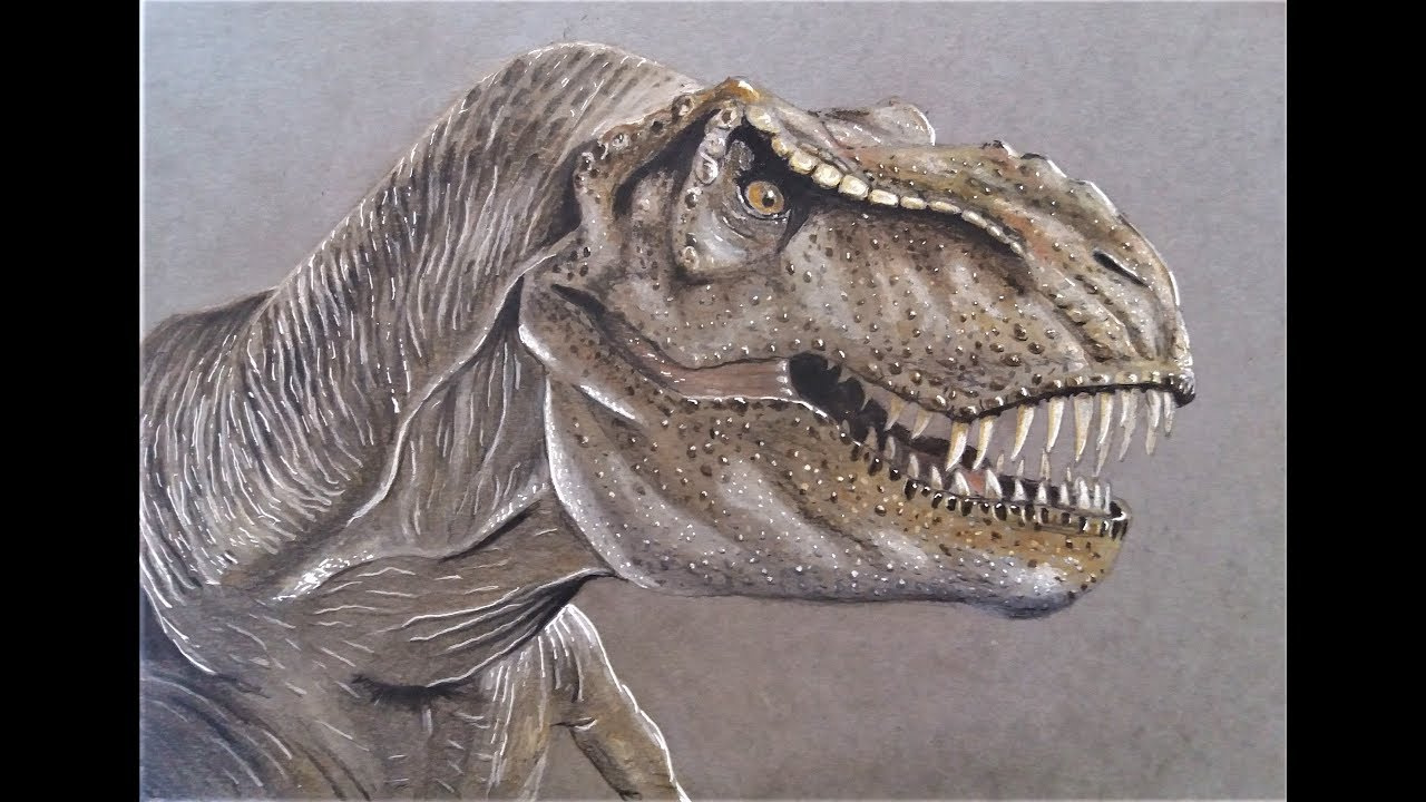T Rex Dessin Nouveau Photos Dessiner Un T Rex Réaliste Draw Realistic T Rex