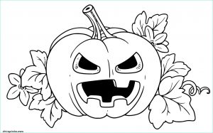 Citrouille Halloween Dessin Luxe Images [download 45 ] A Imprimer Et Couleur Dhalloween