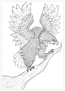 Coloriage Animaux Adulte Impressionnant Collection Aigle