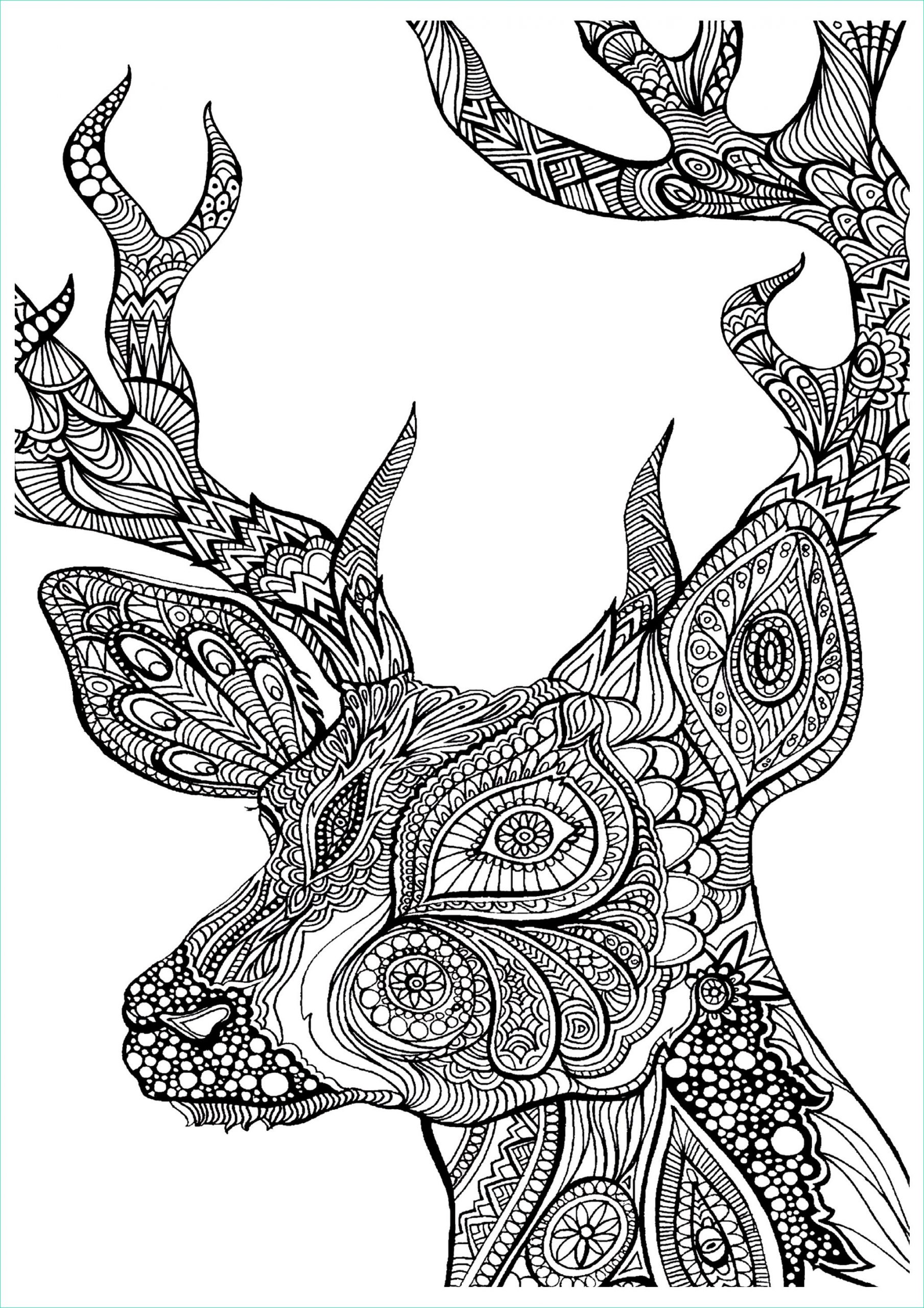Coloriage Animaux Adulte Inspirant Image Difficile Cerf Zoom