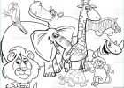 Coloriage Animaux Afrique Maternelle Nouveau Collection Dessin Animé Safari Animaux Coloriage Vecteurs Libres De