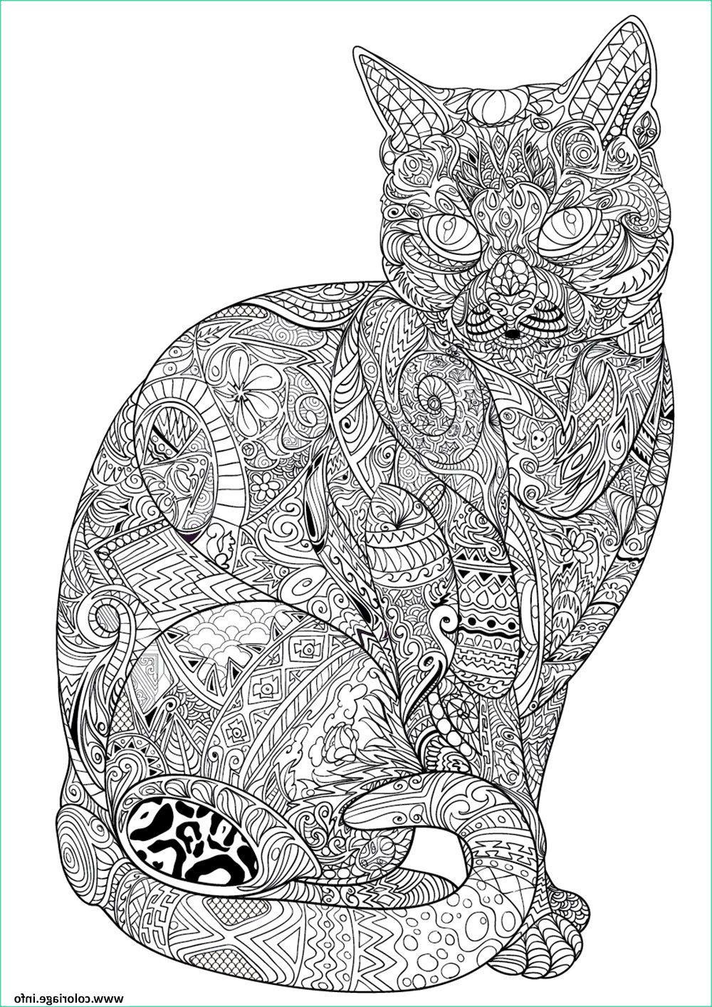 Coloriage Anti-stress Impressionnant Photos Coloriage Chat Adulte Difficile Antistress Animaux Dessin