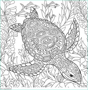 Coloriage Anti-stress Inspirant Galerie Coloriage Antistress Une tortue Marine Lulu La Taupe