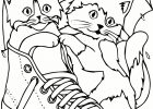 Coloriage De Chat Et Chien Impressionnant Photos Coloriage De Bébé Chien A Imprimer