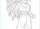 Coloriage De Dragon Ball Luxe Collection Dragon Ball Gratuit 2 Coloriage Dragon Ball Z