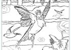 Coloriage Fée Adulte Cool Photos 15 Coloriage La Princesse Au Petit Pois