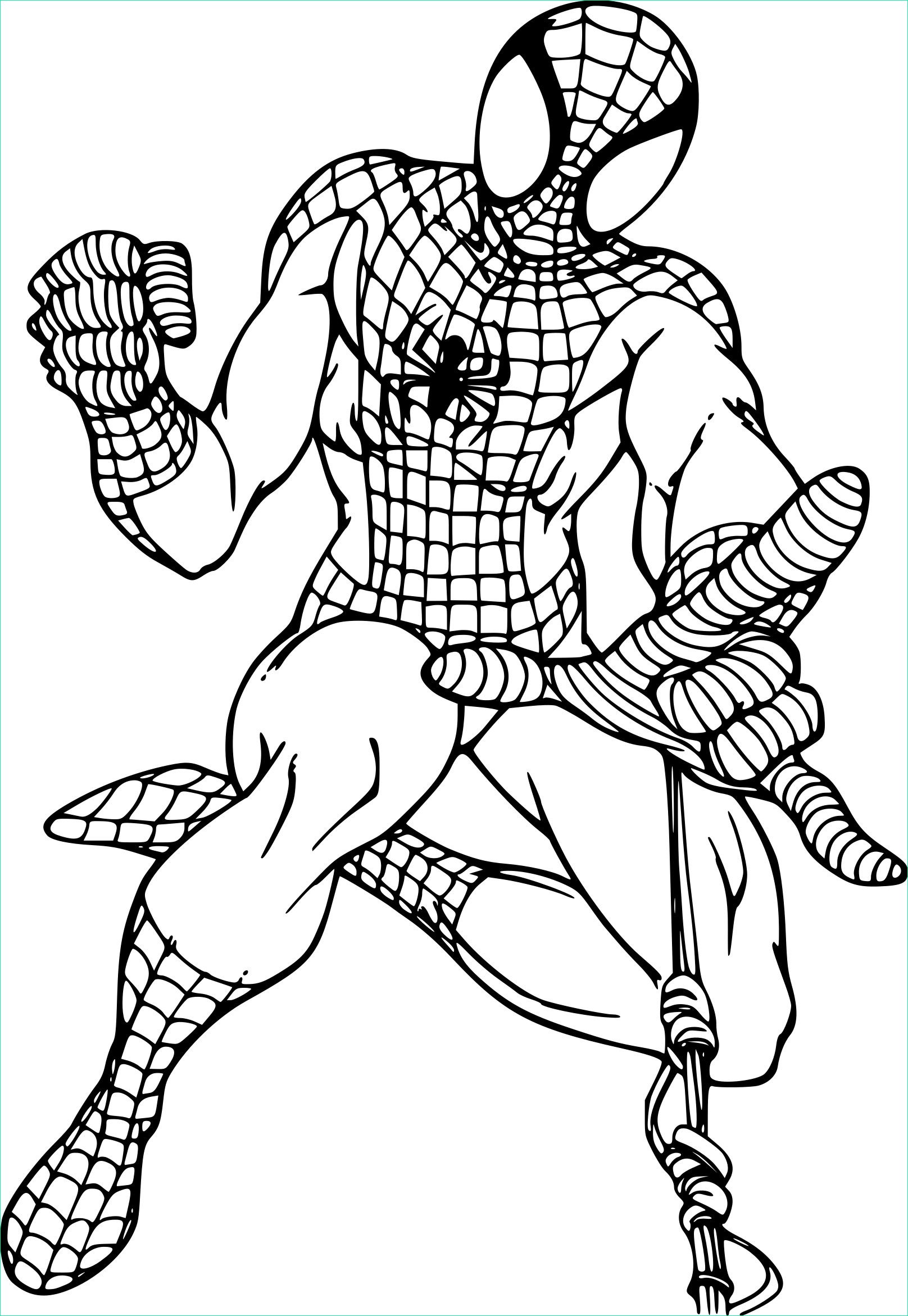 Coloriage.info Cool Galerie Coloriage Spiderman Araignée à Imprimer Sur Coloriages Fo