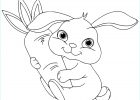 Coloriage Lapin Inspirant Galerie Bébé Lapin Coloriage De Lapins Coloriages Pour Enfants