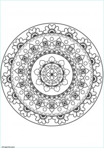 Coloriage Magique Mandala Impressionnant Image Coloriage Gulli Mandala Fleur 10 Dessin