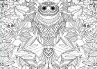 Coloriage Mandala Difficile Hibou Élégant Collection 15 Cool De Coloriage Hibou Mandala Collection Coloriage