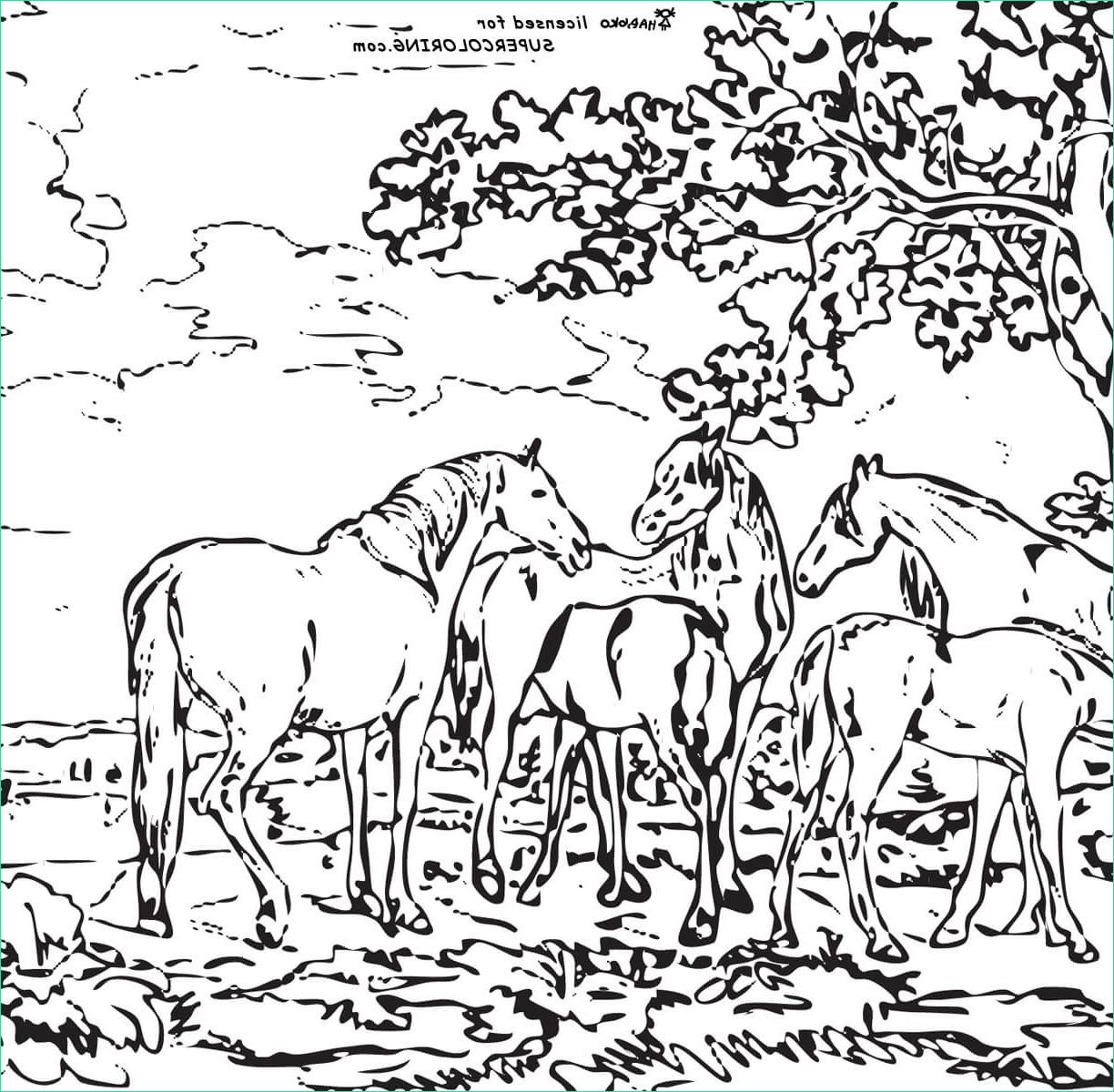 Coloriage Paysage Adulte Impressionnant Photos Landscape Coloring Pages for Adults at Getcolorings