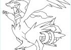 Coloriage Pokemon Gratuit Élégant Images Nos Jeux De Coloriage Pokemon à Imprimer Gratuit Page 8