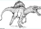 Dessin A Colorier Dinosaure Luxe Collection Résultat De Recherche D Images Pour &quot;imprimer Dessin De