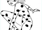 Dessin A Colorier Miraculous Unique Image Coloriage Ladybug Miraculous Chat Noir original