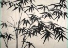 Dessin Chinois Cool Photographie How to Paint Chinese Bamboo Painting