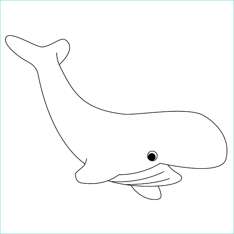 Dessin De Baleine Élégant Galerie Coloriage Baleine Imprimez Votre Dessin De Baleine Sur