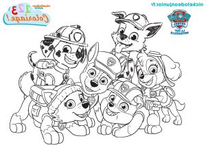 Dessin De La Pat Patrouille Inspirant Photos 1 2 3 Coloriage