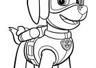 Dessin De La Pat Patrouille Unique Images Coloriage De Zuma à Colorier – La Pat Patrouille
