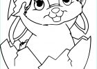 Dessin De Lapin De Paques Beau Photos Coloriage204 Coloriage De Lapin De Paques