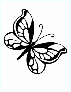 Dessin De Papillon Impressionnant Photos 1001 Idées De Dessin De Papillon Pour S Inspirer Et