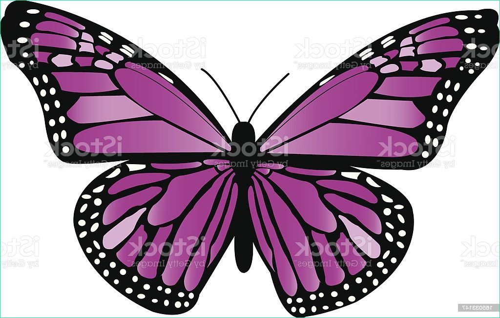 Dessin De Papillon Inspirant Photographie Purple Monarch butterfly Stock Illustration Download