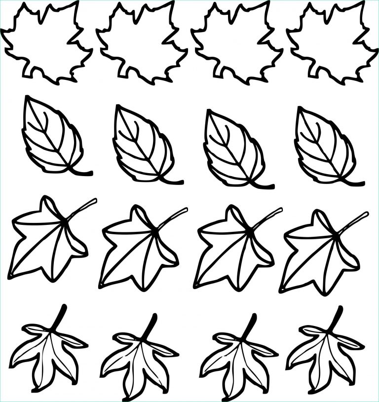 Dessin Feuilles D'automne Inspirant Stock Coloriage Feuilles D Automne