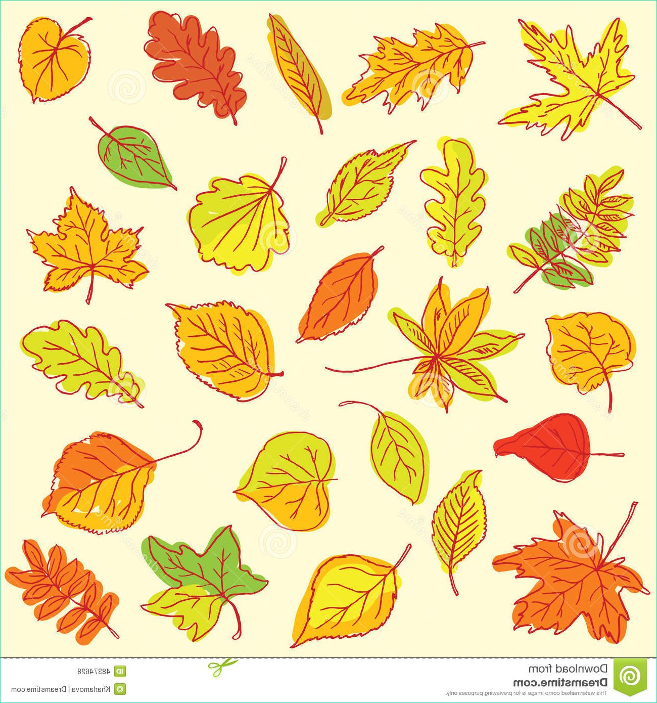 Dessin Feuilles Luxe Images Freehand Drawing Autumn Leaves Items A Sheet